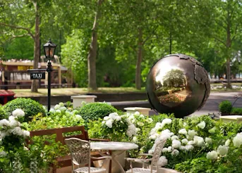 dorchester-garden