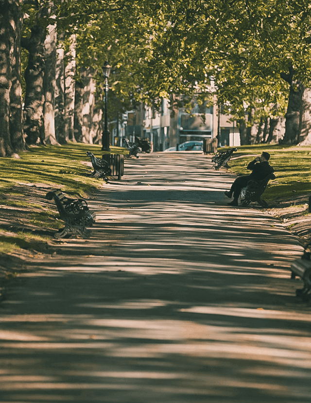 mayfair-park